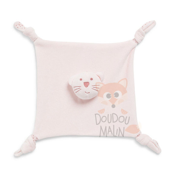  plat chat rose étoile 